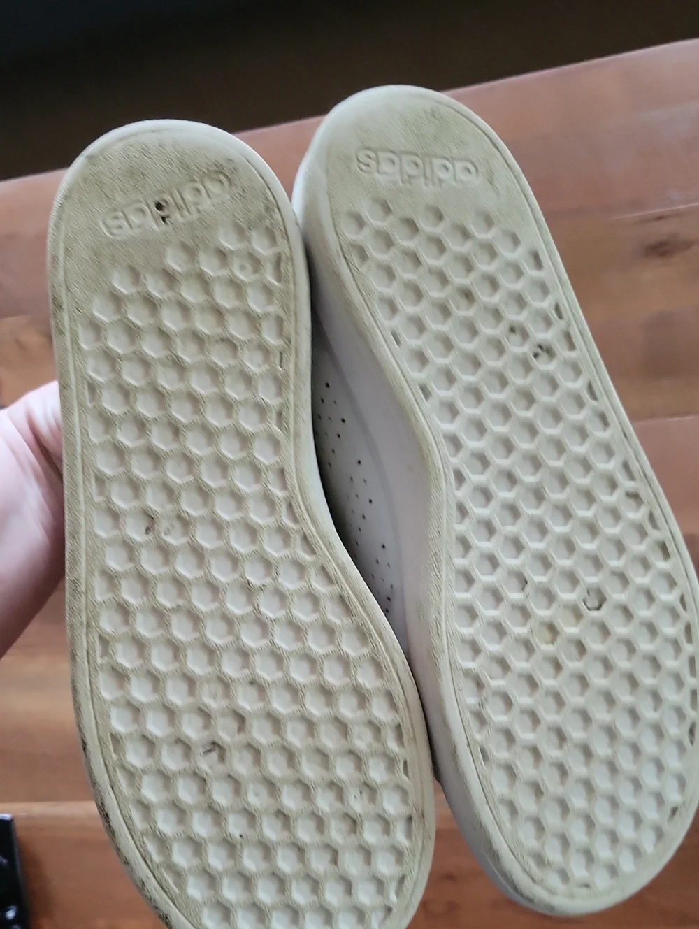 Adidias Shoes